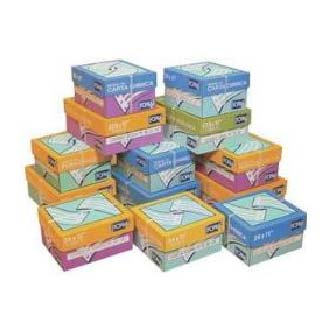 Carta a Modulo Continuo