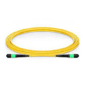 Cordoni Trunk e Hydra