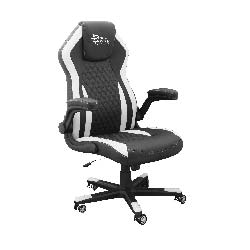 Sedie Gaming (Cat. B)